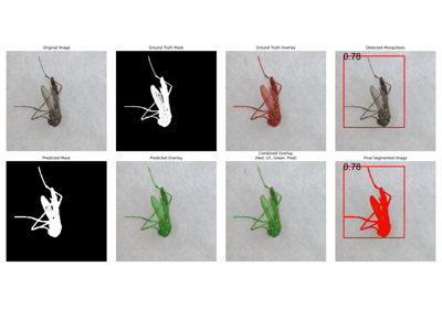 Mosquito Segmentation Tutorial